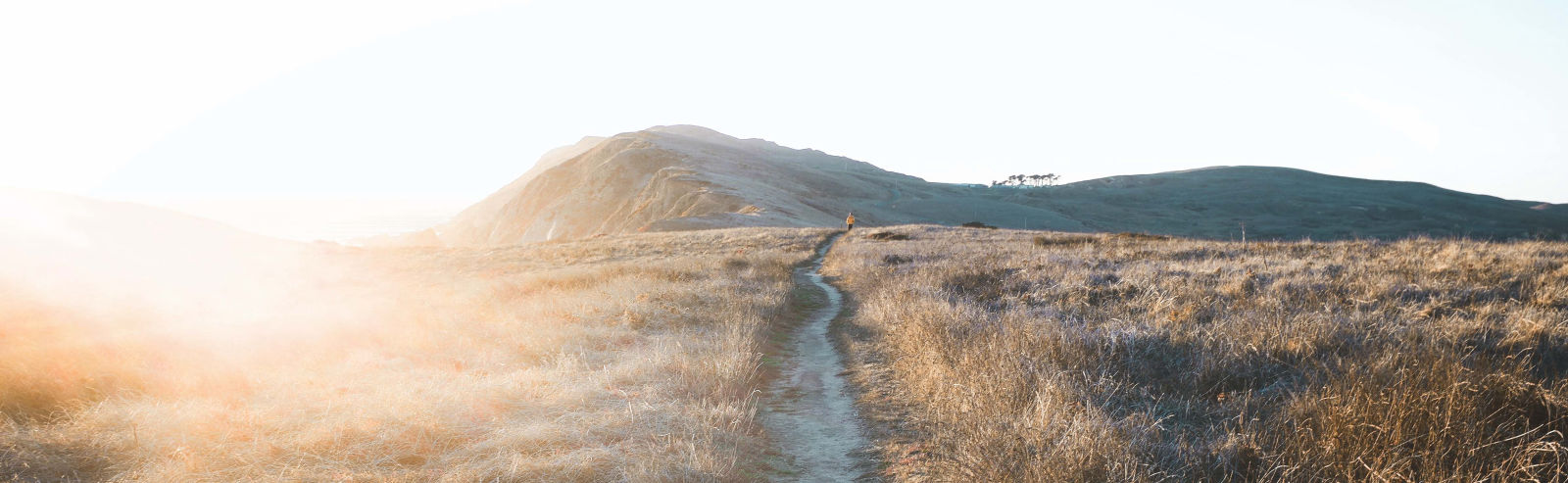 craig melville ea483elgcoa unsplash